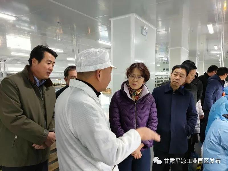 省市人大代表來平涼工業園區視察(圖2)