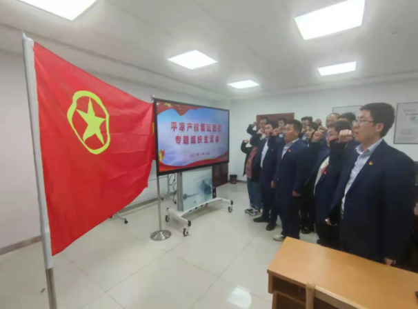 市產投集團團委召開2021年度專題組織生活會(圖5)